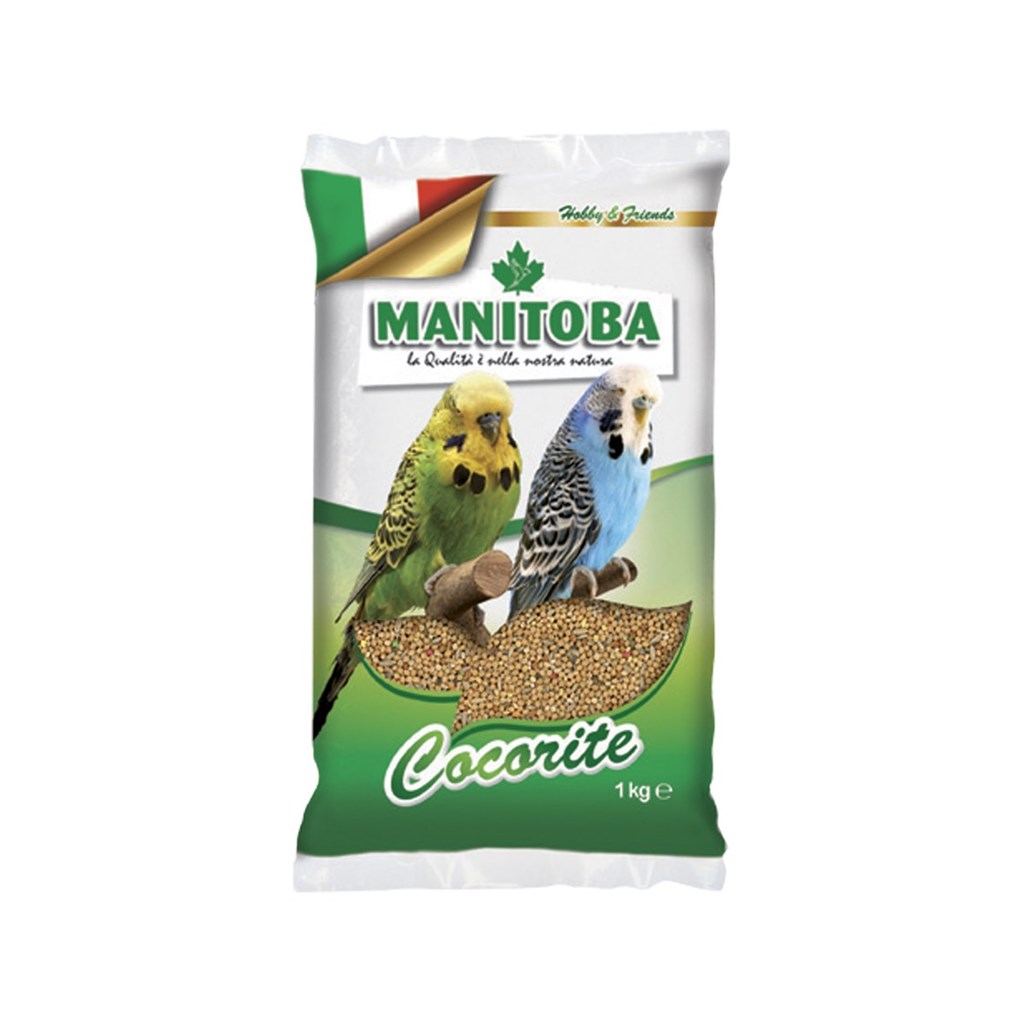 MISTO COCORITE BISCUIT MANITOBA - KG 1